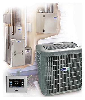 Air Conditioner Security Cage
